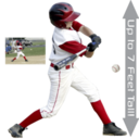 wallhogs-baseball